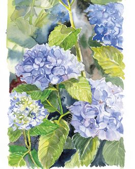 Carte postale A6 'Bodensee'