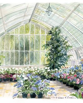 "La serre du XIXième Siécle" A4